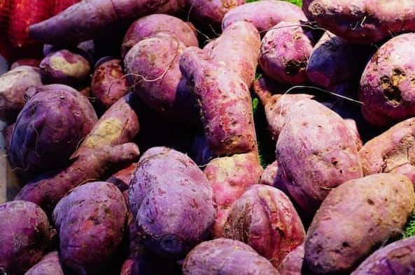 تصویر 4 از خرید سیب زمینی بنفش + قیمت فروش استثنایی